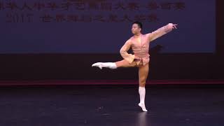 WeShine 2017 Mengjun Chen “Ballet Variation” 陈梦君《关不住的女儿男变奏》USCDA 选送