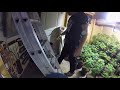 Live Organics No Till update.