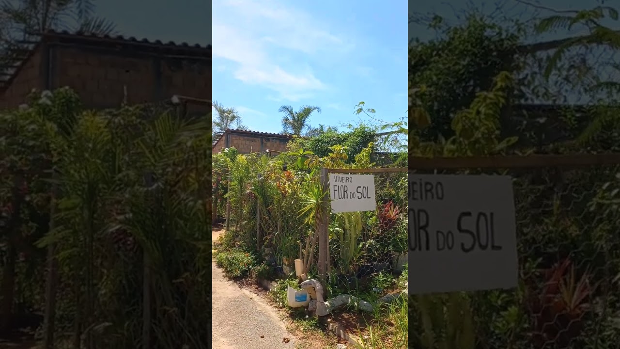 Viveiro Flor do Sol