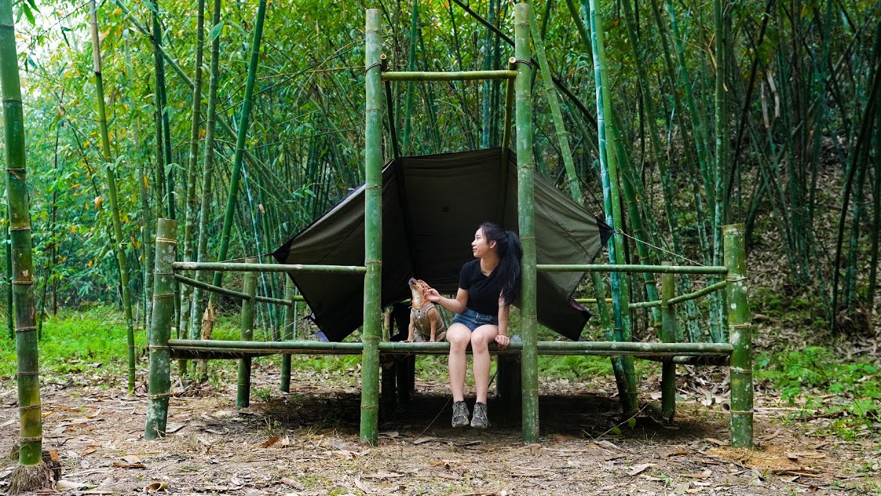 ⁣Solo Bushcraft, Exploring the Bamboo Forest - Efforts to Build a Shelter, Part 1