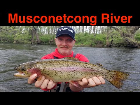 Musconetcong River Trout Fishing 