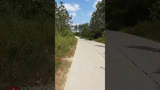 Jalan Membelah Hutan Jati  Ke Bendungan Randugunting blora