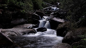 Using ON1 Photo Raw to do some Burning and Dodging