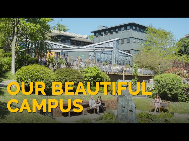 Our beautiful campus – University of Winchester