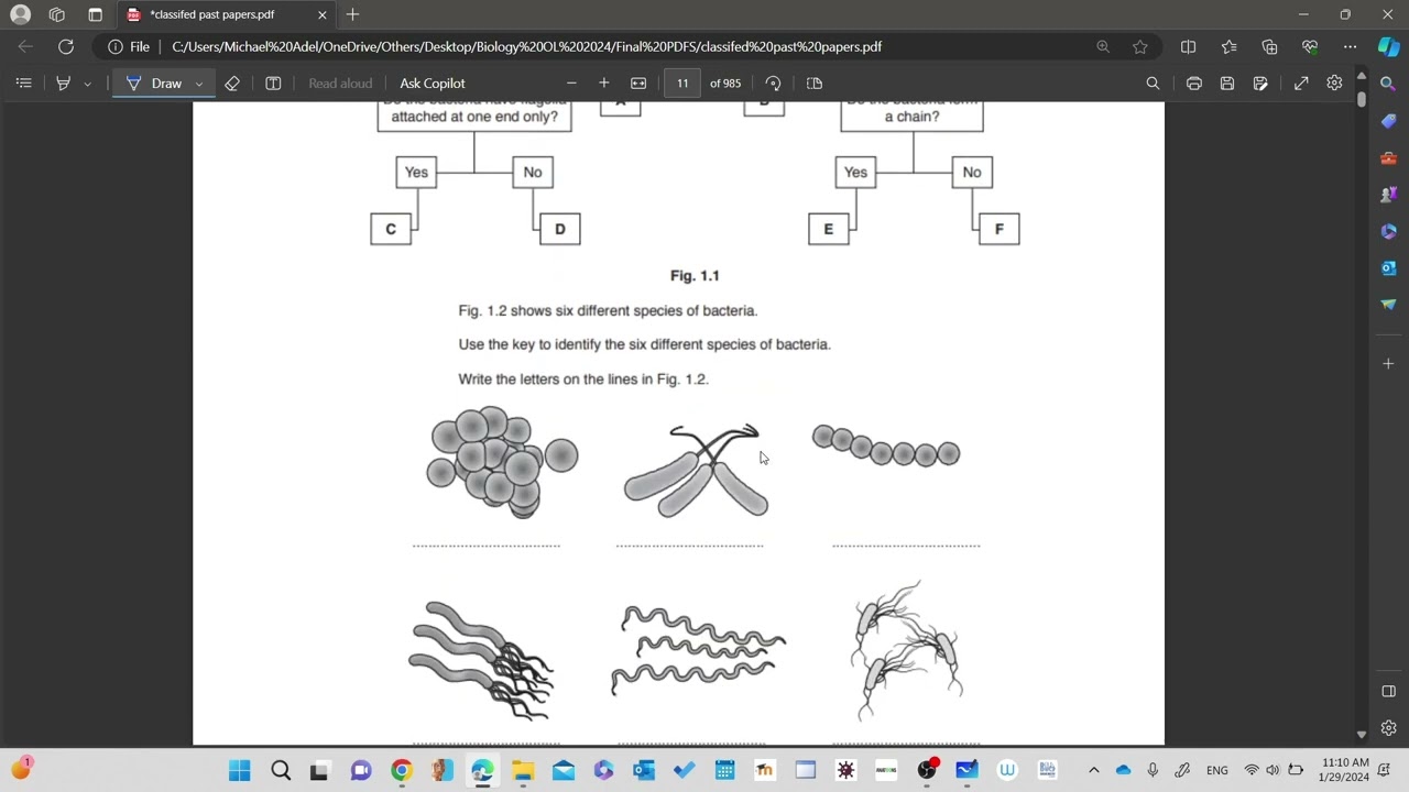 Classified Past Papers Chapter 1 Characteristics & Classification - IGCSE BIOLOGY OL CAMBRIDGE