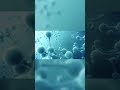 What happens at the atomic level? #science #shorts #animation