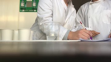 DT405/2 Experiment 6: Paired Preference test