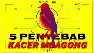 5 PENYEBAB KACER MBAGONG