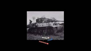 WHY THE WEST PANICKED: | German Panzer Report#010⚠️ #shorts #shortvideo #shortfeed