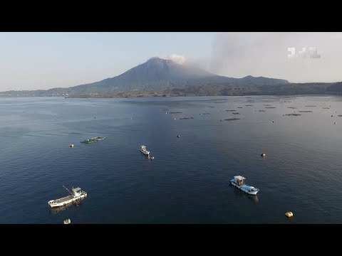 Самое масштабное землетрясение Японии и взрыв на АЭС Фукусима. Мир наизнанку - 7 серия, 9 сезон