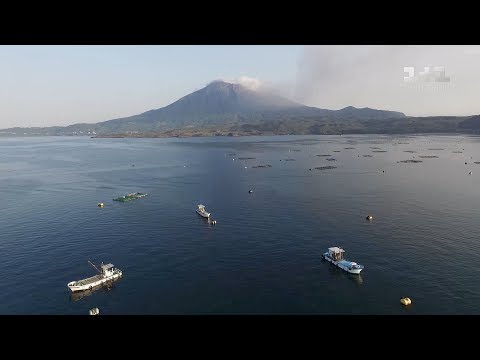 Видео: Заметки о годовщине цунами в Японии - Сеть Матадор