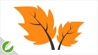 Maple Leaf Drawing with CorelDraw | Flat Vector Style | Drawing | CorelDraw Tutorial