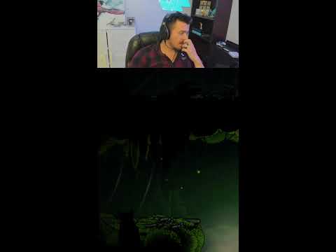 🧂Hollow Knight Salt Fest 🧂