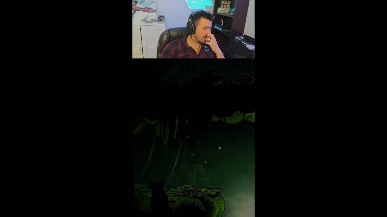 🧂Hollow Knight Salt Fest 🧂