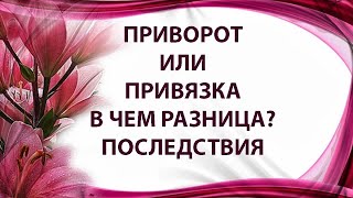 ПРИВОРОТ ИЛИ ПРИВЯЗКА, В ЧЕМ РАЗНИЦА, ПОСЛЕДСТВИЯ