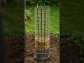 cucumber waterfall soil tower 🥒🎋 #shorts #timelapse #gardening