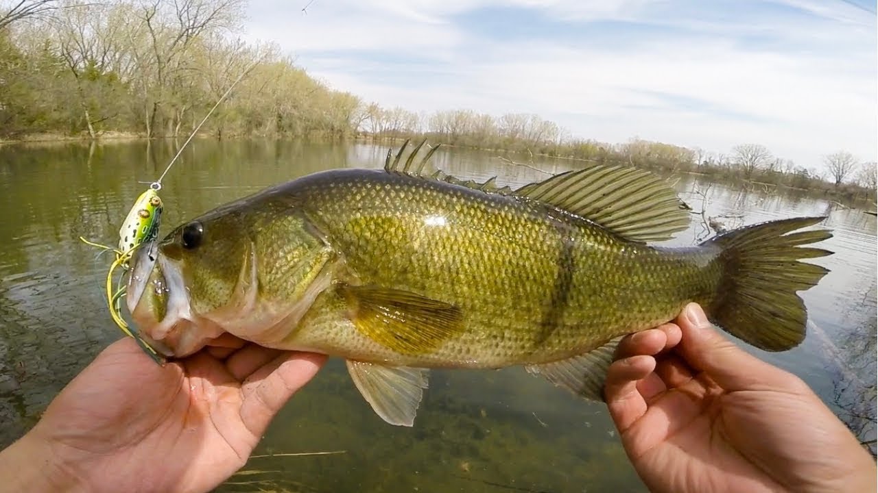 Frog Fishing a Backwoods Pond - YouTube