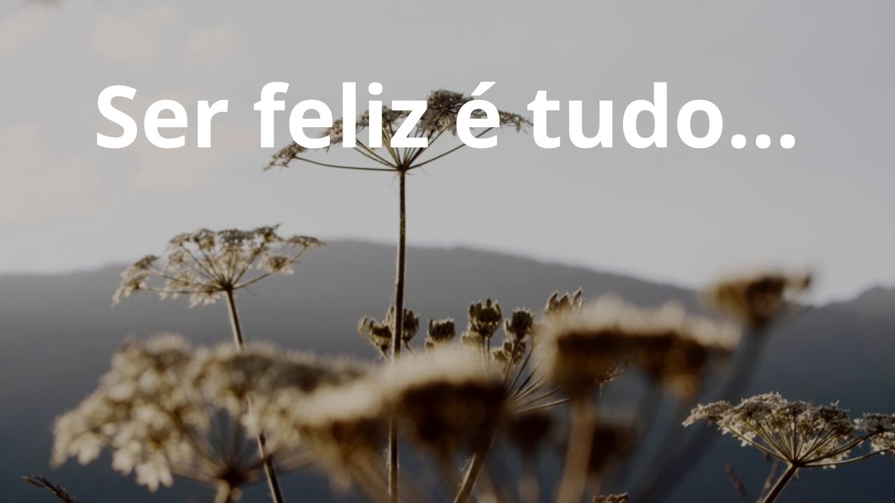 Ser feliz é tudo... - Momento Espírita