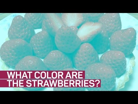 What color are these strawberries? Viral photo tricks your eyes - YouTube