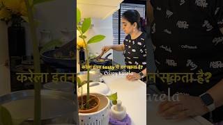 Karela itna tasty bhi ban sakta hai?😍 Crispy Karela #karela #karelarecipe #shorts #minivlog #lunch
