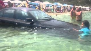 cocalar viral un bmw cu număr de bihor vedetă pe internet după ce a ajuns n mare