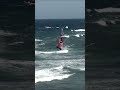 THE FIN IS BACK!