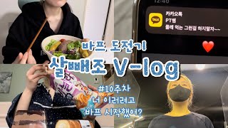 (드릴 말씀이 있습니다) [바프다욧 브이로그#8] -7kg, 그리고 찾아온 비극