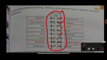Class 6 Computer  Ch 8 Introduction to Flash lec 1