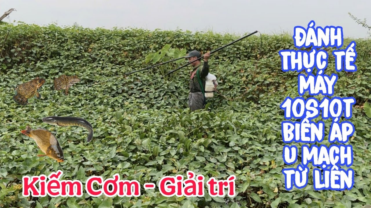 Đánh Thực tế máy 10s10t Biến áp u mạch từ liền .. Kiếm cơm kiếm - mồi các kiểu con đà điểu 👍