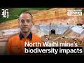 Global mine boss says North Waihī mine biodiversity impacts are "net positive". | Ryan Bridge TODAY