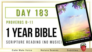 One Year Bible Day 183 |  Proverbs 8-11 | NIV Audio Bible