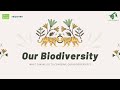 Our biodiversity what can we do to conserve our biodiversity