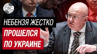 В Украине Уже Не Стесняются Своего Гнилого Антидемократического Нутра - Небензя В Совбезе Оон