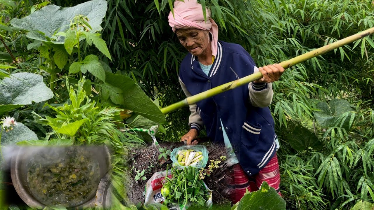 เก็บผักมาทำเมนูที่ยายสีชอบทำเป็นประจำใครไม่เคยลองกินครั้งแรกแทบอ้วก