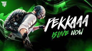 TOURNAMENT POV I DAY 69 OF STREAMING UNTIL I REACH 100K screenshot 5
