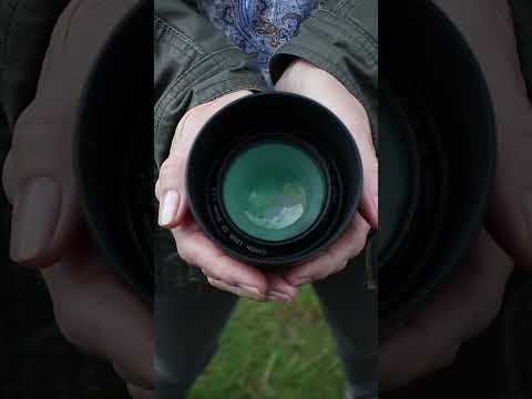 Video: Ist die Canon t5 eine Vollformatkamera?
