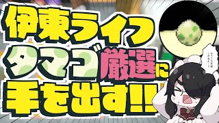 伊東ライフの配信のサムネイル画像