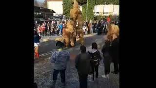 أحتفالات سويسرا بازل فاس ناخت 1 basel
