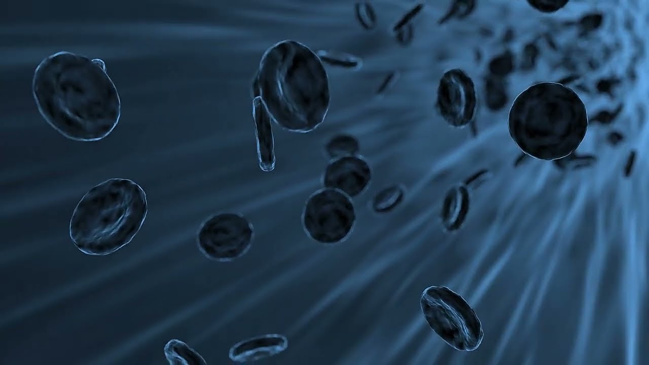 Synthetic Immune System 2048 Techno Music