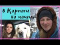 В Карпати на машині разом з собакою - 2000 км. Синевир, Драгобрат, Дземброня, Подільскі Товтри.