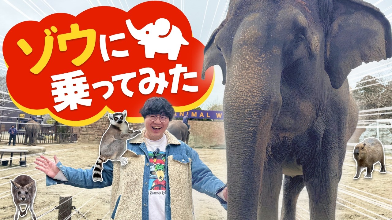 無事に帰るゾウ 良い事あるゾウ I went to ride an elephant [I was ridden by a lemur] - YouTube