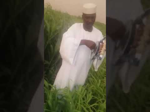 النوراني البخيت