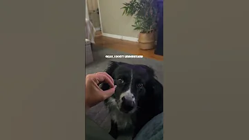 Absolutely Clueless 