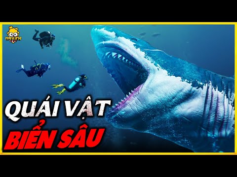 Video 5 KẺ SĂN MỒI MẠNH NHẤT DƯỚI NƯỚC | meXINE - youtube