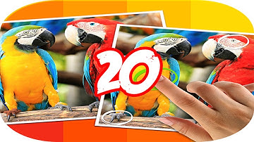 Tap 5 Differences Level 20 Walkthrough