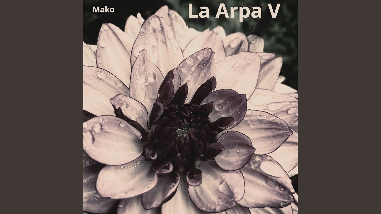 Watch La Arpa on YouTube Watch La Arpa on YouTube