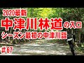 【2020年最新映像】中津川林道（の入口）に行ってきた！【新緑の中津川詣】