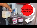 We Made A Delicious Cranberry Sherbet with Electro Freeze!