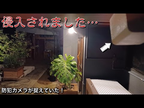 【衝撃映像】網戸を破って侵入の瞬間を防犯カメラが捉えていた！
