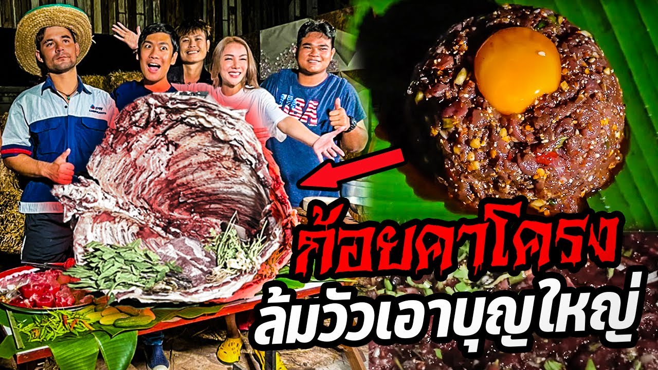 ล้มวัวปีละครั้ง!! เอาบุญใหญ่! พบกับก้อยคาโครง ทำกินกันสดๆ!!